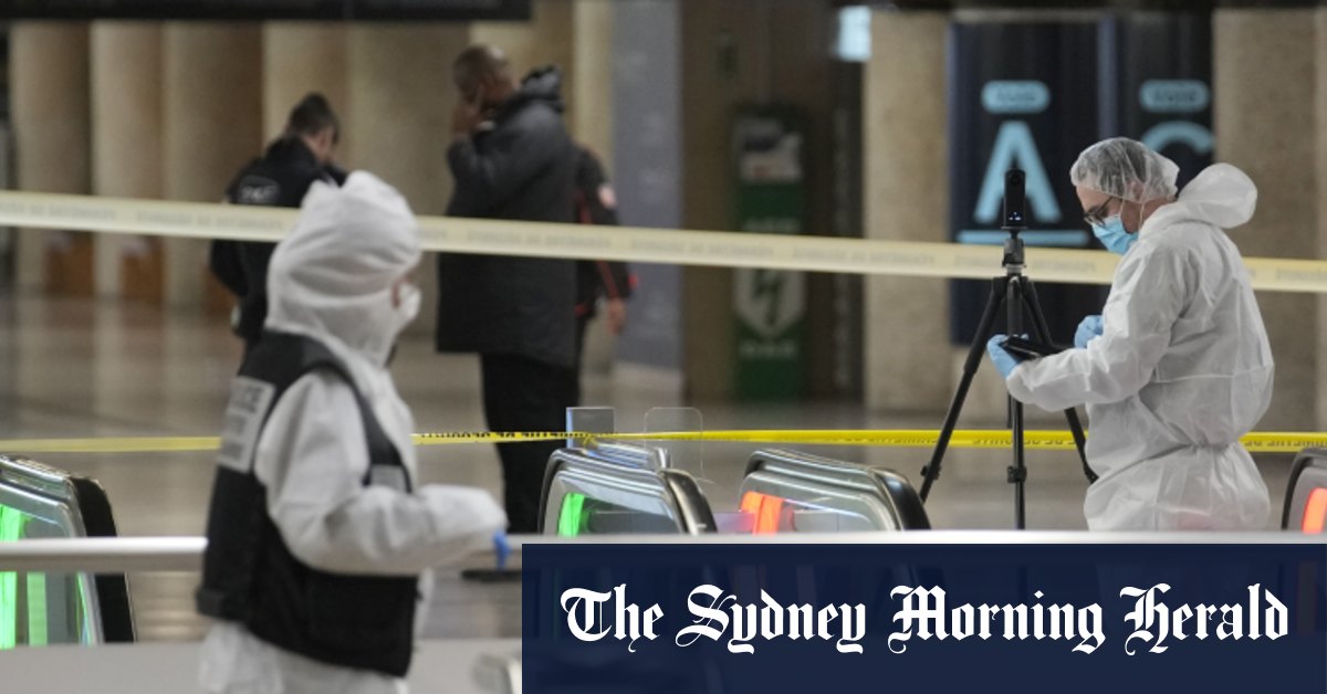 Stabbing at Paris train station