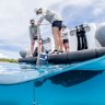 Scientists have mapped the DNA of Australia’s oceans. Their findings surprised even them. 