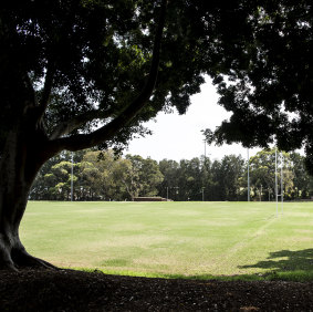 The ventilation output is proposed for the grass area next to the Leichhardt Park Aquatic Centre.
