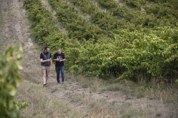 The co-founder of Thistledown Wines, Giles Cook (right), and director of sales Paddy Gilhooly.