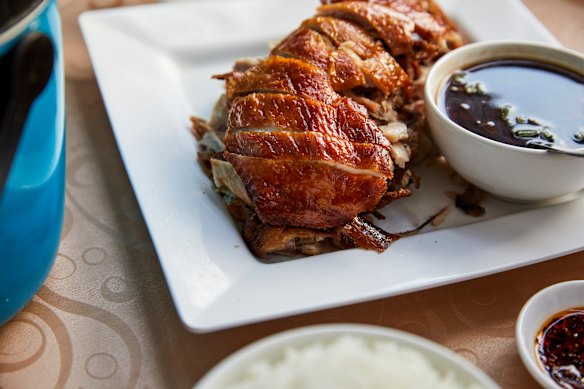 Shandong chicken with steamed rice.