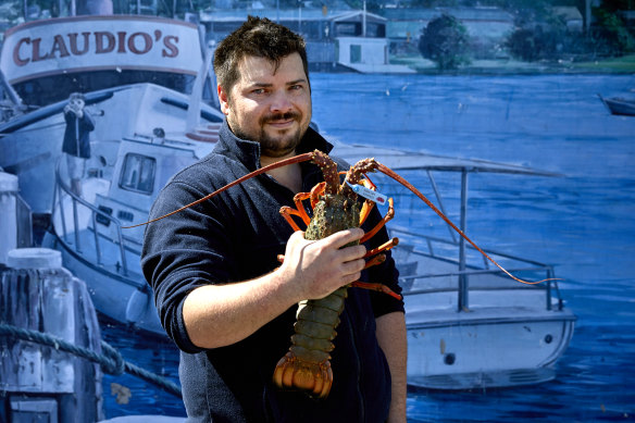 Sydney Fish Market guide, Alex Stollznow, can calm an agitated lobster by stroking its body from back to front.
