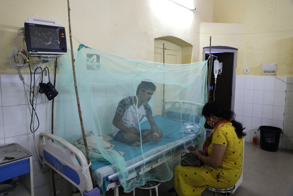 A dengue patient rests under a mosquito net at the dengue ward of a government hospital in Prayagraj, Uttar Pradesh state, India, Wednesday, September 15, 2021. 