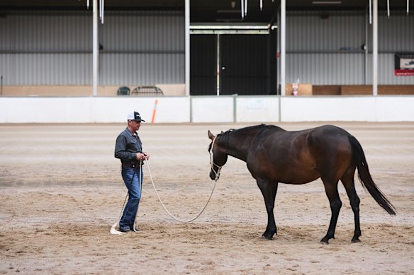 Warwick Schiller’s horse-training videos have attracted millions of views on YouTube.