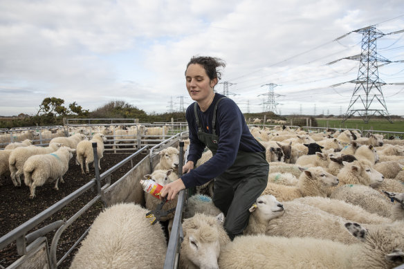 Farmers in Europe like England’s Rona Thompson (pictured) have reduced their usage of antibiotics in animals.