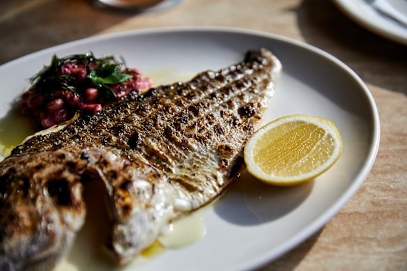 Baby snapper fillet with tahini piyaz.