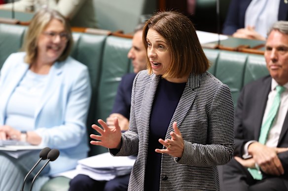 Communications Minister Anika Wells.