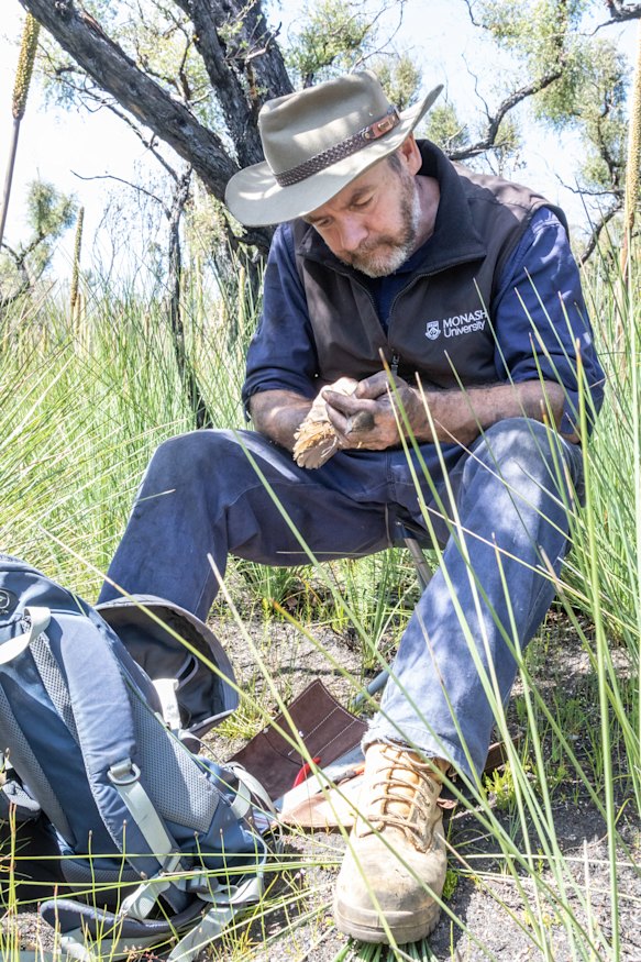 Dr Clarke with an eastern bristlebird.