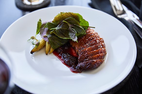 Dry-aged duck, smoked plum sauce and baby corn.