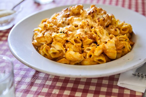 Zucca gomitti pasta.