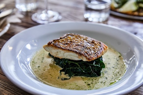 Market fish (snapper) of the day.