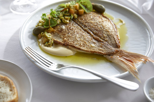 Line-caught butterflied baby snapper with smoked garlic aioli.