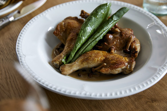 Spatchcock fricassee with a creamy foie gras sauce.