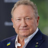 Andrew Forrest wears a Ukraine pin at the World Economic Forum in Davos, Switzerland, on May 23.