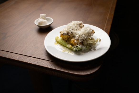 Corn ribs, smoky from the grill, are showered with caciocavallo cheese.