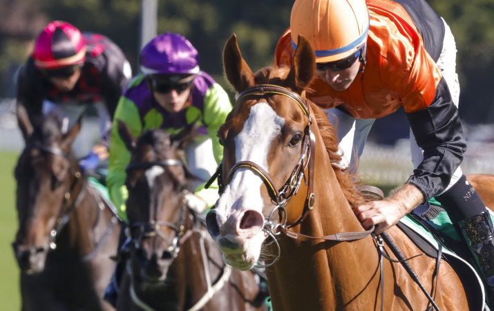 Race-by-race tips and preview for Port Macquarie on Friday