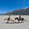 Horse trekking details t/c