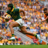 Back to reality for the Wallabies as world champion Springboks smash hoodoo