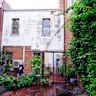 The lush communal garden at 116 Stephen Street.
