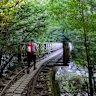 Stunning Japanese hike is like stepping into an (animated) movie