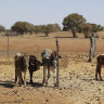 Water fears ease in regional Queensland, but towns 'not out of the woods'