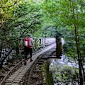 Storybook bridge on the trail.