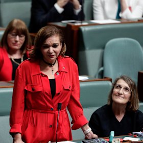 Labor MP Anne Aly speaks in the House of Representatives on Wednesday.