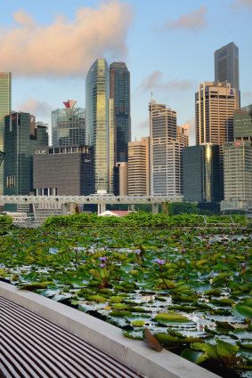 Singapore skyline looking out over a lotous pond.