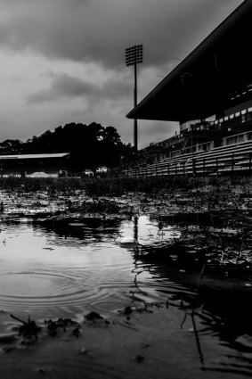 The historic Leichhardt Oval is falling into ruin, according to Inner West Council, which is seeking state funding for its upgrade.