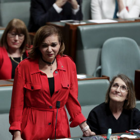 Labor MP Anne Aly speaks in the House of Representatives on Wednesday.