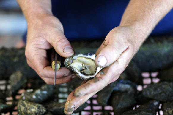 Angel Seafood says stock numbers are strong and pricing is steady. 