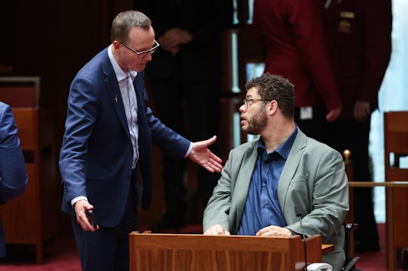 Greens leader Senator David Shoebridge and Senator Jordon Steele-John in the Senate last Wednesday.