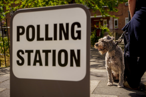A man and dog wait outside a polling station in London.