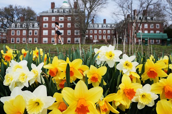 Harvard enrolled nearly 6800 international students in the 2024-25 school year: 27 per cent of its total enrolment.