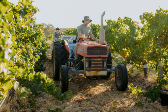 House of Cards Vineyard.