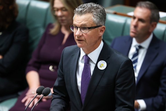 Assistant Minister for Immigration Matt Thistlethwaite.