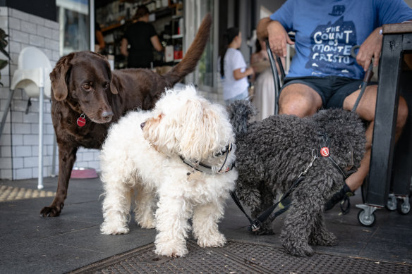 Meeting friends at The Grumpy Baker cafe in Bellevue Hill.