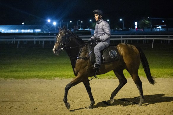 Golden Slipper favourite Storm Boy returns from his final gallop at Randwick on Tuesday