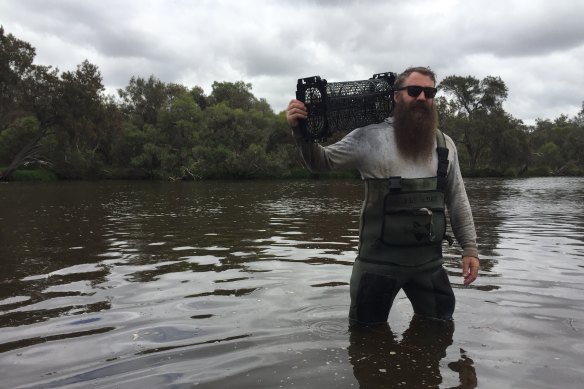 Dr. Cottingham will run laboratory tests to see which mussel species and which pocket in the estuary is best for new reefs. 