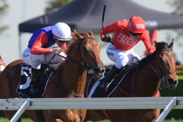 Tough battle: Military Zone, right, edges out Danawi at Randwick.