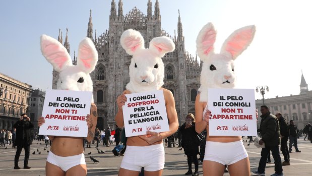 Activists of the People for the Ethical Treatment of Animals (PETA) hold placards reading, in Italian, from left, "Rabbits' fur does not belong to you" and "Rabbits suffer because of fur and angora", in Milan last month.