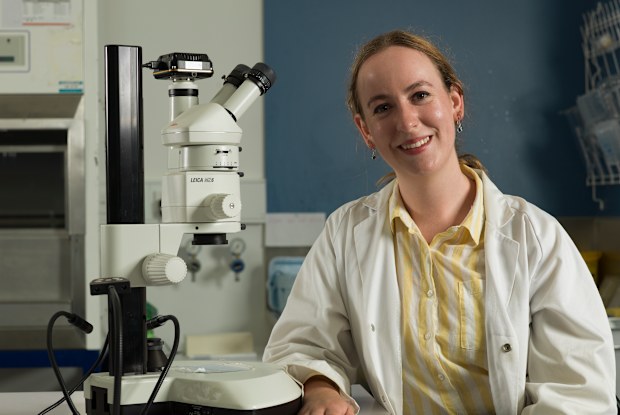 Australia’s Economic Accelerator: Universities welcome $2b research ...