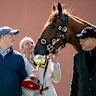 Calvin McEvoy (left), Jamie Melham and Tony McEvoy with Melbourne Cup winner Half Yours.