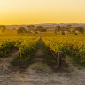 Yalumba champions the traditional Aussie cab-shiraz blend.
