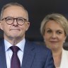 ‘I was elected unopposed’: Albanese reacts to Tanya Plibersek’s comments on 2019 leadership contest