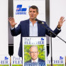 ‘Don’t take them for granted’: Baird implores politicians to reflect on why voters back independents