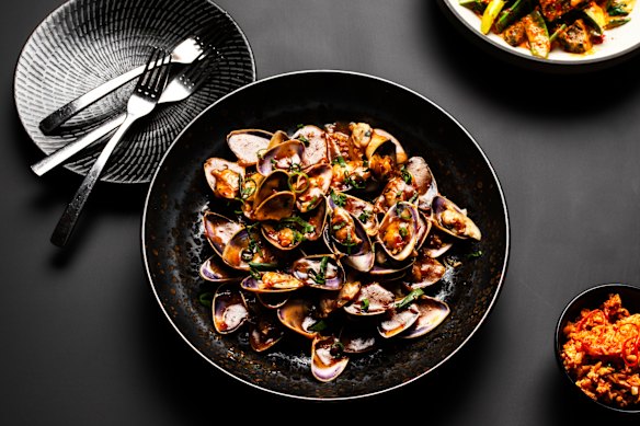 XO pipis.