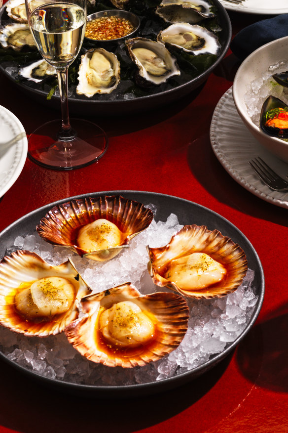 Sydney rock oysters, chilled mussels, raw scallops.