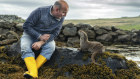 Billy & Molly: An Otter Love Story.