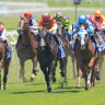 Canterbury will host a seven-race meeting on Wednesday.